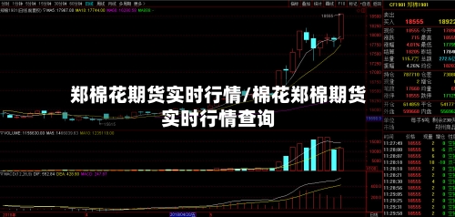郑棉花期货实时行情/棉花郑棉期货实时行情查询