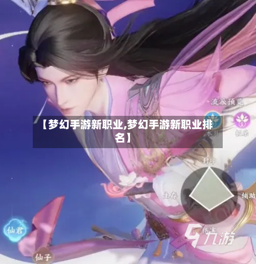 【梦幻手游新职业,梦幻手游新职业排名】
