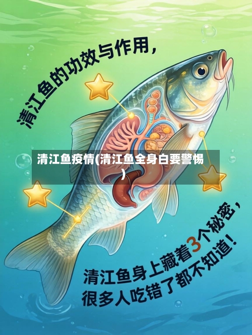 清江鱼疫情(清江鱼全身白要警惕)