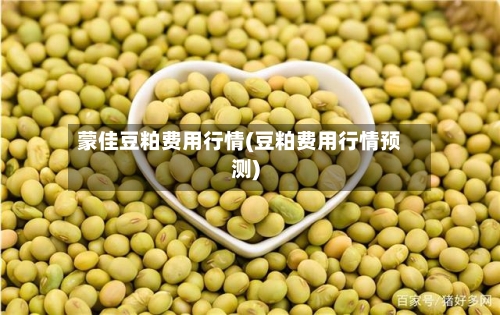 蒙佳豆粕费用行情(豆粕费用行情预测)