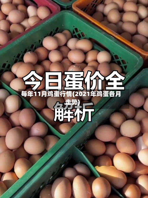 每年11月鸡蛋行情(2021年鸡蛋各月走势)-第2张图片