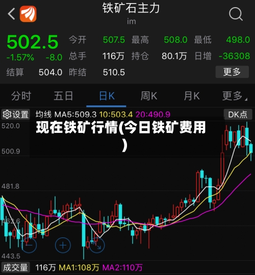 现在铁矿行情(今日铁矿费用)