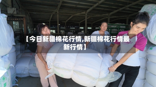 【今日新疆棉花行情,新疆棉花行情最新行情】-第2张图片