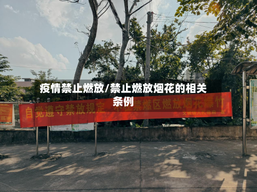 疫情禁止燃放/禁止燃放烟花的相关条例-第3张图片