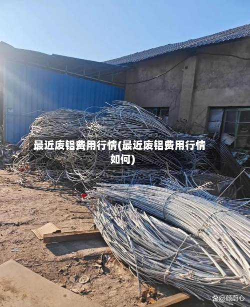 最近废铝费用行情(最近废铝费用行情如何)