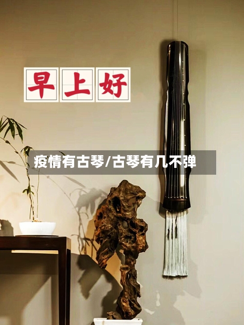 疫情有古琴/古琴有几不弹