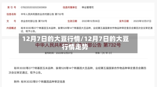 12月7日的大豆行情/12月7日的大豆行情走势