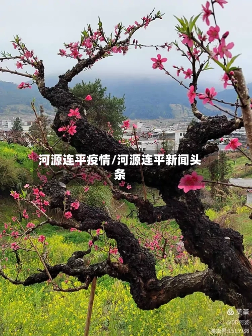 河源连平疫情/河源连平新闻头条-第3张图片