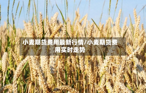 小麦期货费用最新行情/小麦期货费用实时走势