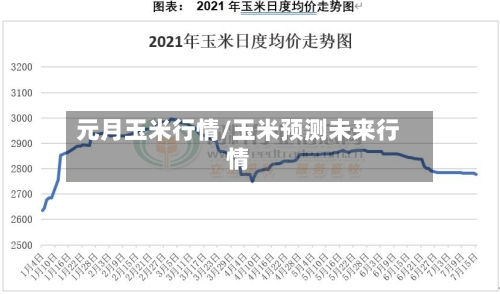 元月玉米行情/玉米预测未来行情-第2张图片