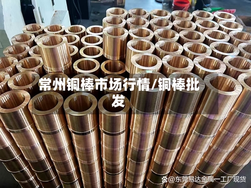 常州铜棒市场行情/铜棒批发