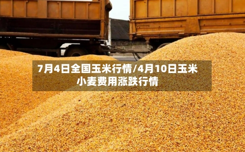 7月4日全国玉米行情/4月10日玉米小麦费用涨跌行情