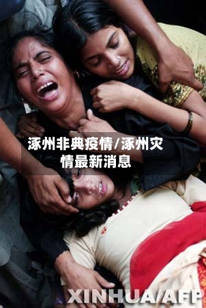 涿州非典疫情/涿州灾情最新消息