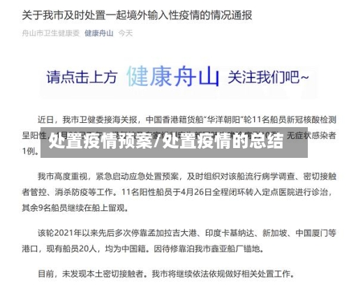处置疫情预案/处置疫情的总结-第2张图片