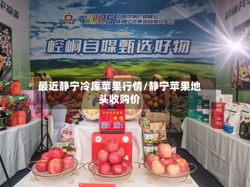 最近静宁冷库苹果行情/静宁苹果地头收购价-第3张图片
