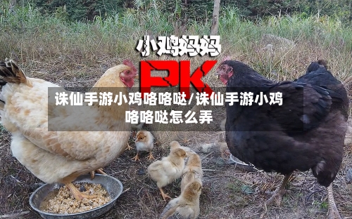 诛仙手游小鸡咯咯哒/诛仙手游小鸡咯咯哒怎么弄