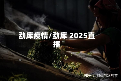 勐库疫情/勐库 2025直播