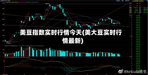 美豆指数实时行情今天(美大豆实时行情最新)