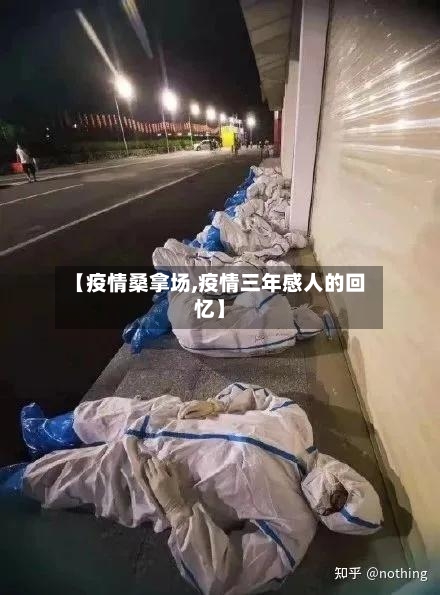 【疫情桑拿场,疫情三年感人的回忆】-第2张图片