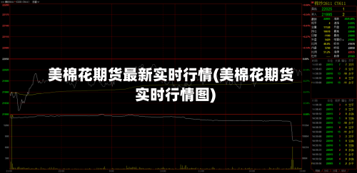 美棉花期货最新实时行情(美棉花期货实时行情图)