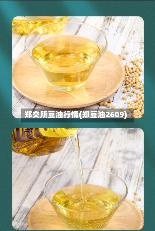 郑交所豆油行情(郑豆油2609)