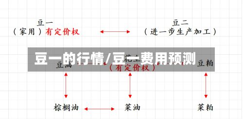 豆一的行情/豆一费用预测-第2张图片