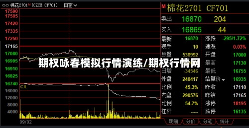 期权咏春模拟行情演练/期权行情网-第2张图片