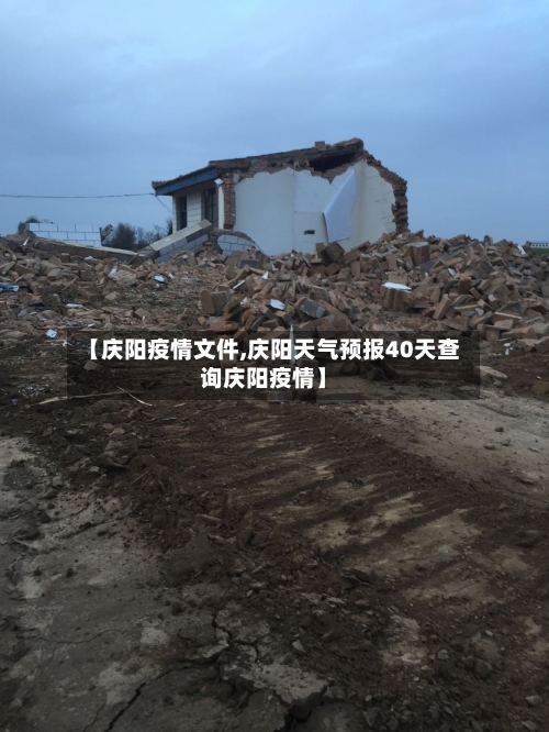 【庆阳疫情文件,庆阳天气预报40天查询庆阳疫情】-第2张图片