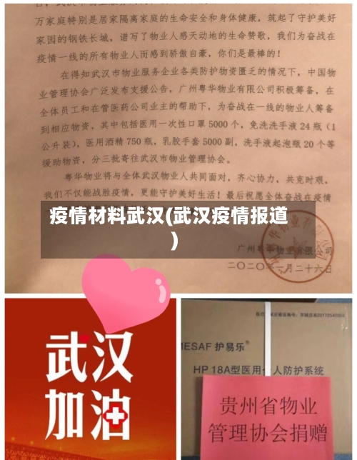 疫情材料武汉(武汉疫情报道)-第2张图片