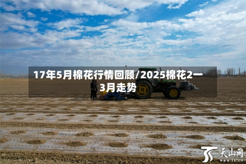 17年5月棉花行情回顾/2025棉花2一3月走势