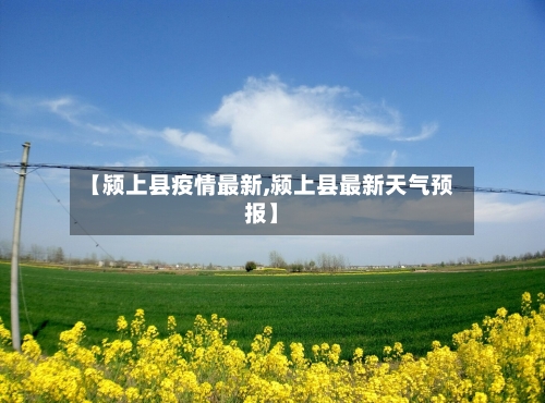 【颍上县疫情最新,颍上县最新天气预报】