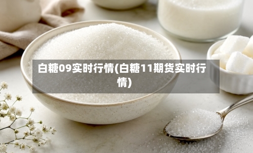 白糖09实时行情(白糖11期货实时行情)