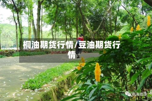 桐油期货行情/豆油期货行情