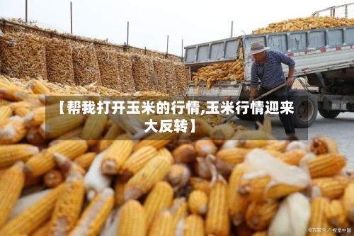 【帮我打开玉米的行情,玉米行情迎来大反转】