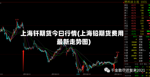 上海钎期货今曰行情(上海铅期货费用最新走势图)-第3张图片