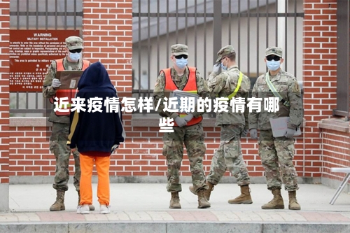 近来疫情怎样/近期的疫情有哪些