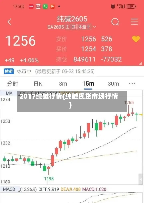 2017纯碱行情(纯碱现货市场行情)