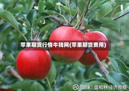 苹果期货行情牛钱网(苹果期货费用)-第2张图片