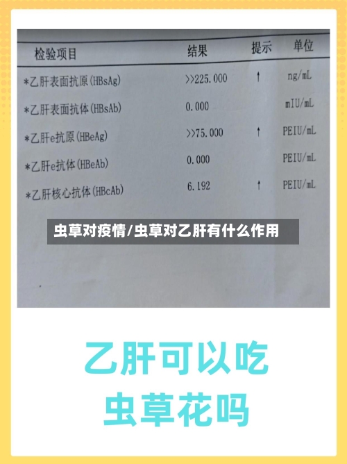 虫草对疫情/虫草对乙肝有什么作用-第3张图片