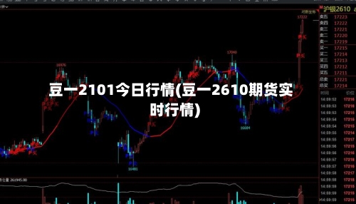 豆一2101今日行情(豆一2610期货实时行情)-第3张图片