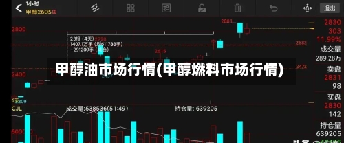 甲醇油市场行情(甲醇燃料市场行情)-第2张图片