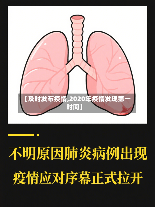 【及时发布疫情,2020年疫情发现第一时间】