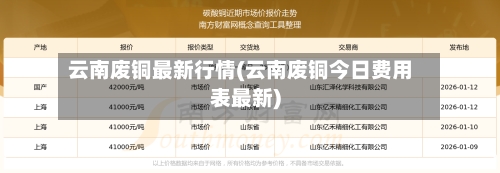 云南废铜最新行情(云南废铜今日费用表最新)-第2张图片