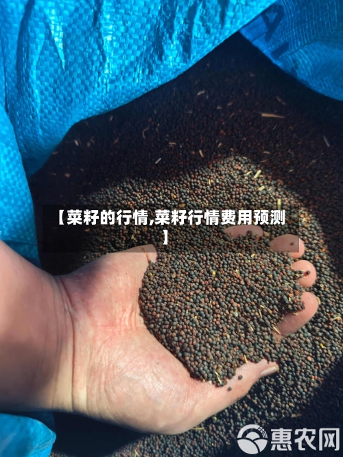 【菜籽的行情,菜籽行情费用预测】-第2张图片