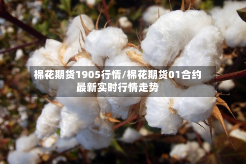 棉花期货1905行情/棉花期货01合约最新实时行情走势-第2张图片