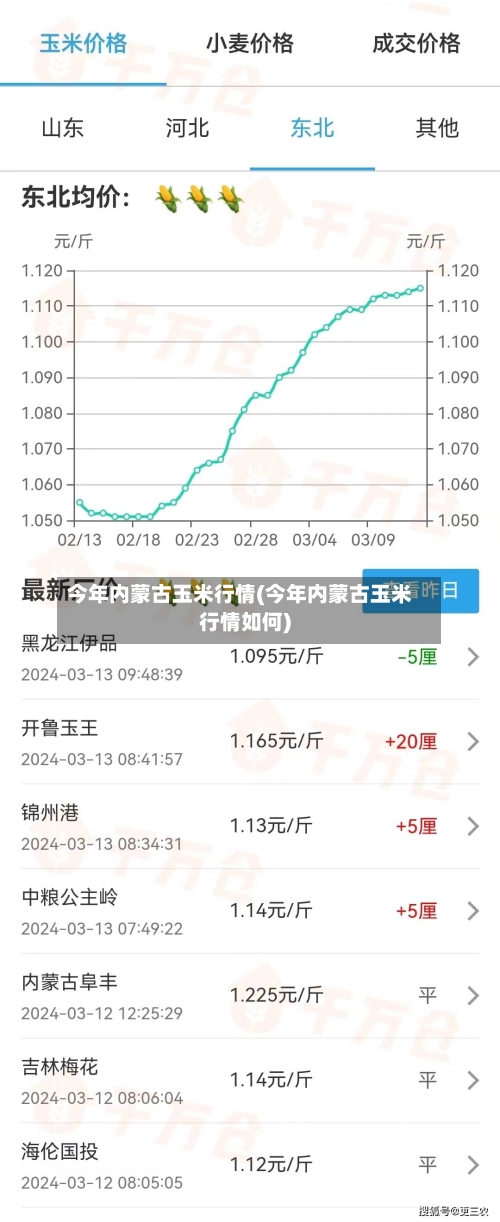 今年内蒙古玉米行情(今年内蒙古玉米行情如何)