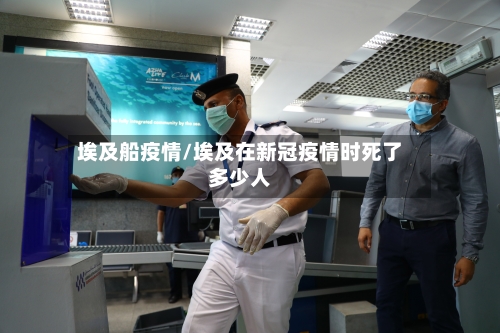 埃及船疫情/埃及在新冠疫情时死了多少人-第2张图片