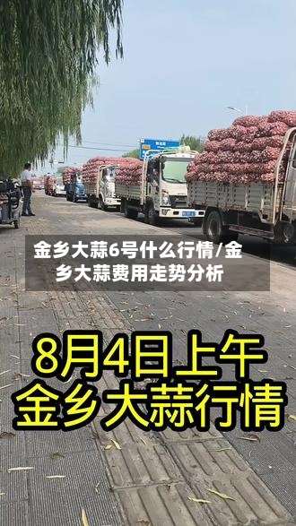 金乡大蒜6号什么行情/金乡大蒜费用走势分析-第3张图片