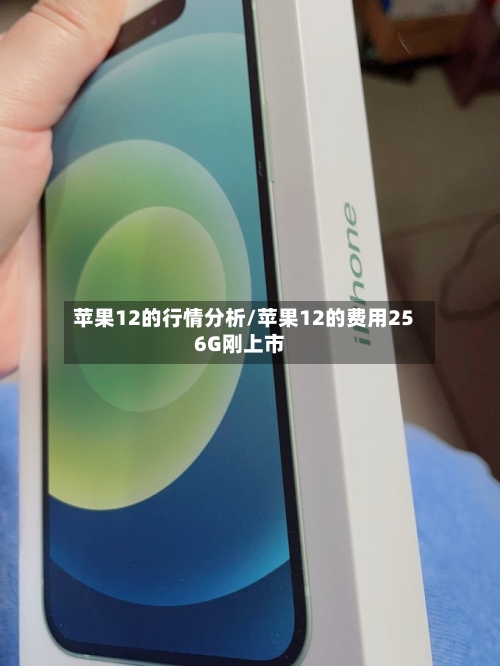 苹果12的行情分析/苹果12的费用256G刚上市-第2张图片