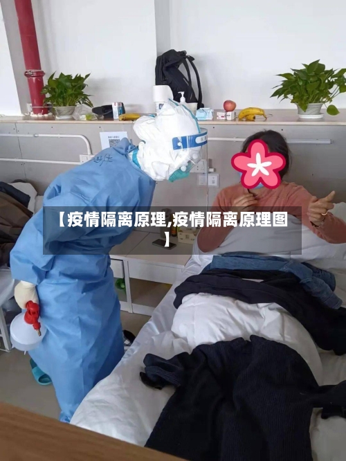 【疫情隔离原理,疫情隔离原理图】